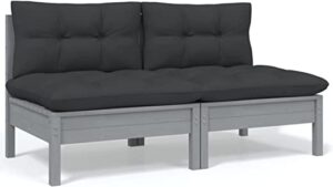 - Leepesx Outdoor meubels: comfortabele 2-zits tuinbank van massief hout met grijze kussens in antracietkleur
